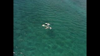 Tube Summer Dream 1987 - YouTube