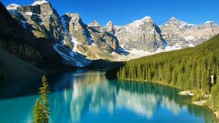 Bach - Flute Sonata In G Major, Bwv 1031, 1St Movement