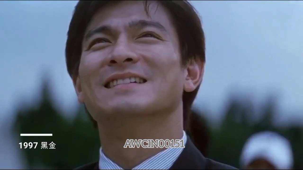 ANDY LAU MOVIE 1982 - 2019