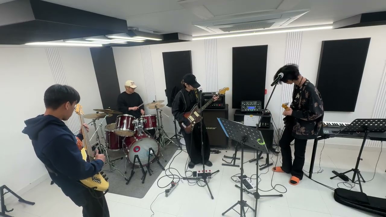 꽃과 고양이 합주