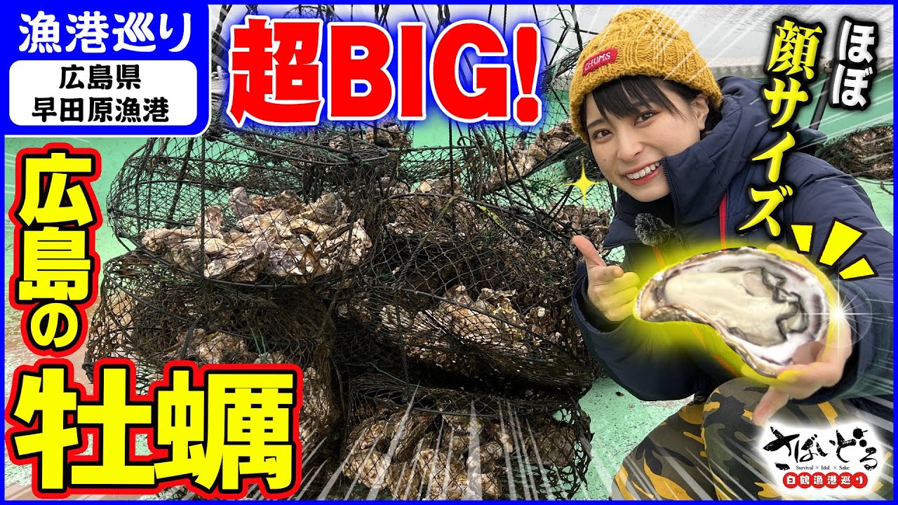 超希少！広島のブランド牡蠣「かき小町」特大で濃厚な海のミルクを船上でいただきまる！⭕️【漁港巡り 広島県早田原漁港編】