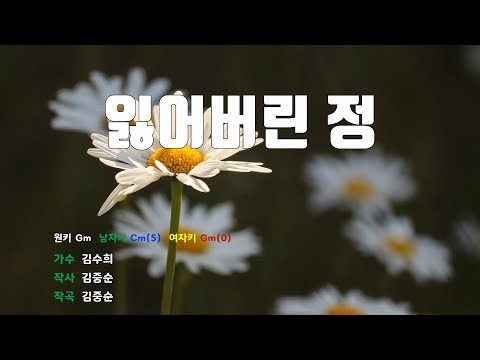 [은성반주기] 잃어버린정 - 김수희 /MR/가사