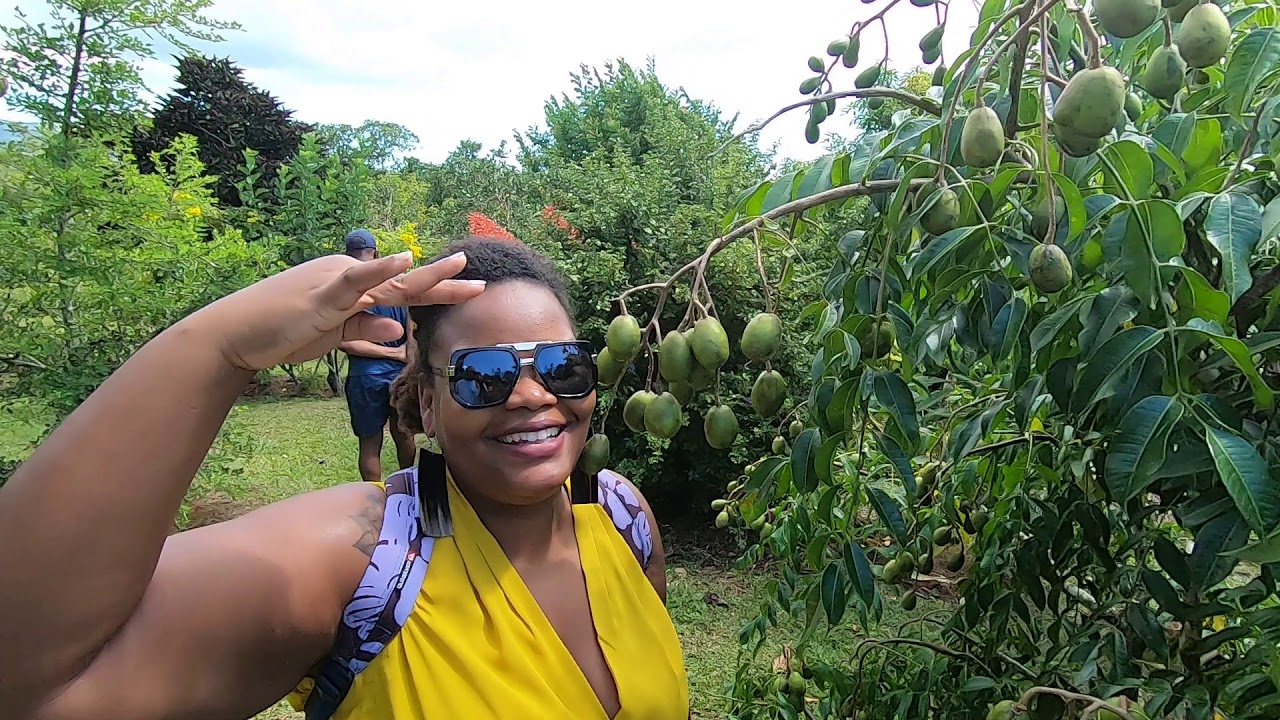La Guadeloupe et sa flore - Visite Au jardin 971 au Lamentin