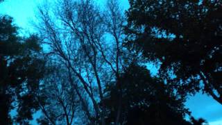 Yuni Wa - Technical Difficulties With Life We Will Be Right Back