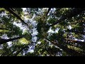 How to Evaluate and Select Socially Responsible Investments