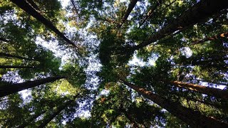 Famous How to Evaluate and Select Socially Responsible Investments Wealth