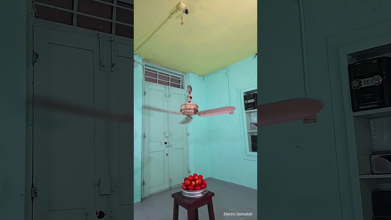 Ceiling Fan Crash Test: Tomatoes Edition! 🍅🚨 