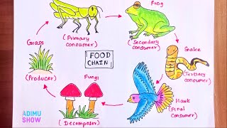 How to Draw Food Chain🌤🦗🍃🦜🐸🍄🐍|step by step drawing tutorial