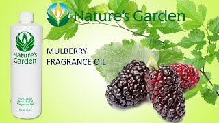 Mulberry Fragrance Oil- Natures Garden