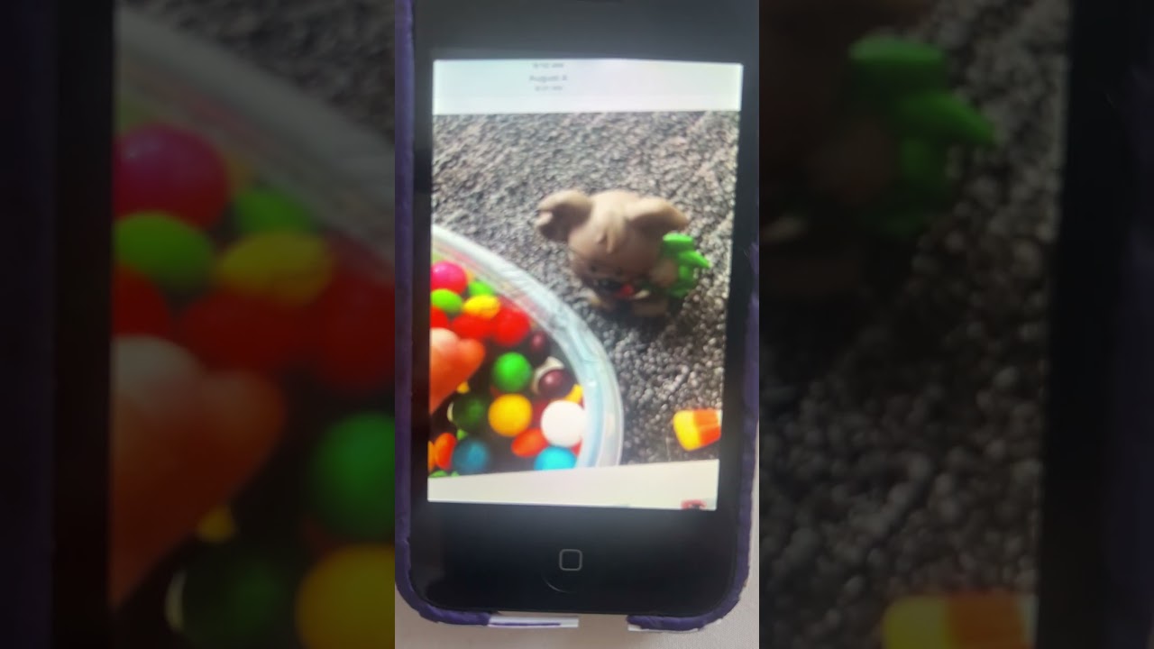 01BE FIRST SOUNDS clip29