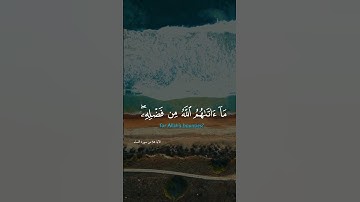 القارئ الشيخ سعد الغامدي ما تيسر من سورة -النساء