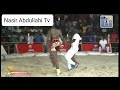 Zakirou Zakari Vs Dallas Abani 