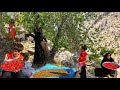 Nomadic Adventure in the Mountains | A Refugee Mother's Journey to Pick Wild Cherries and Survive🍒⛰️