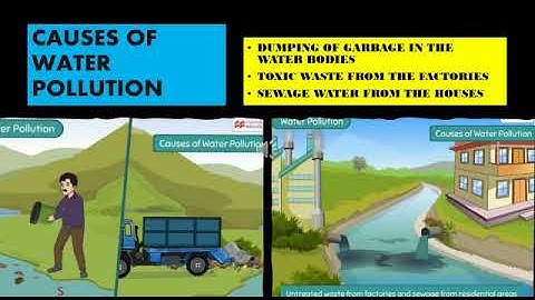 Causes Of Water Pollution I EVS I CLASS-4 l DAPS-1 l Rohini