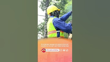 TP.HCM ĐẨY NHANH KẾ HOẠCH PHÁ DỠ CHUNG CƯ CŨ NÁT 440 TRẦN HƯNG ĐẠO