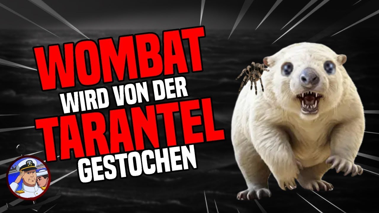 Wie Von Der Tarantel Gestochen www.youtube.com