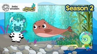 Lets Explore Textures With Fur Seals Ocean Explorers Season 2 Baby Einstein Education Show