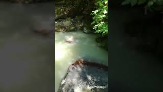 Ruha Iyi Gelen Müzik Ve Manzara Ikisi Bir Arada Üzik Ğa