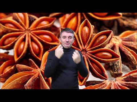 Бадьян — лечебные и полезные свойства