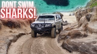 Thrilling Fraser Island 4WD Adventure: Dunes, Shipwrecks & Hidden Gems Unveiled! 🚙🏝️