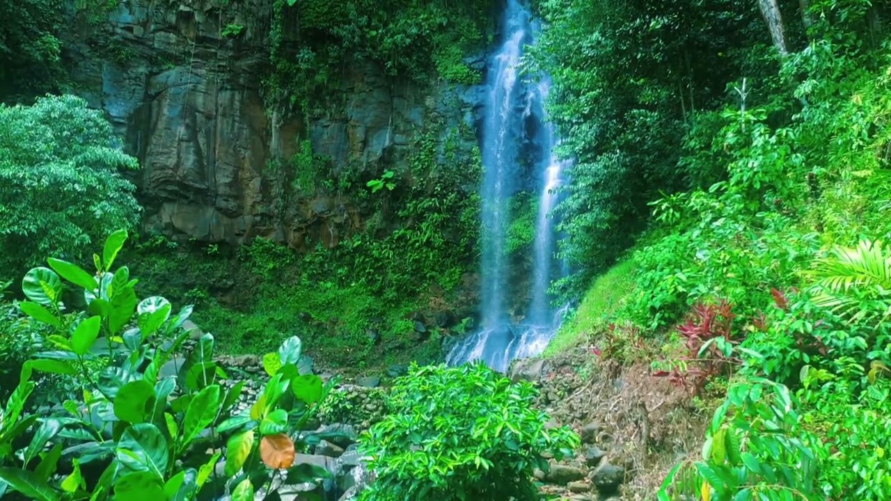 Tropical Jungle Waterfall Ambience for Deep Sleep and Relaxation | Hours of Pure Nature ASMR Sounds