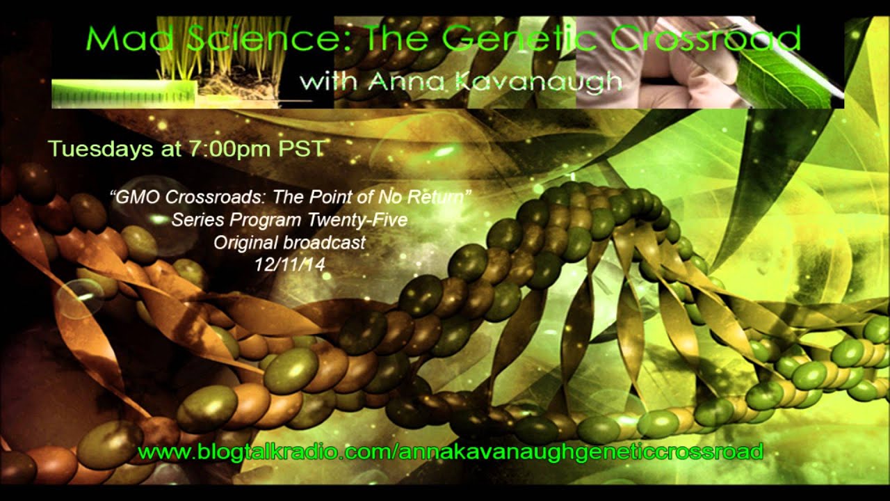 GMO Mad Science with Anna Kavanaugh - GMO Crossroads Point of No Return