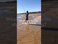 What’s your favorite style of fishing? #fishingvideo #fishing
