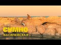 OLENA VASYLEVSKA СУМНО Official Video