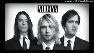 Nirvana - Territorial Pissings (Audio)