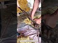 Broom Fiber Trimming Process – Precision Cutting Technology for Neat and Consistent Results