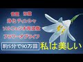 【400倍速5分で90万回】私は美しい+ティンシャ浄化+ソルフェジオ周波数+秘密のエッセンス
