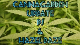 CannaGarden Update: Poppin Mephisto Genetics & Big Titties ( Offspring Onboarding ) Autoflowers