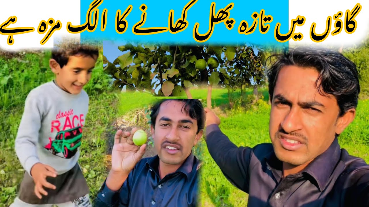Gao May Taza Phal Khanay Ka Alag Mza Hai گاؤں میں تازہ پھل کھانے کا الگ مزہ ہے💕🌳🍏🍎🍇🍒🥭🫒