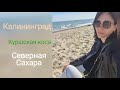 Калининградский ВЛОГ! Калининград/ Куршская коса/ Северная Сахара/ Где вкусно поесть?