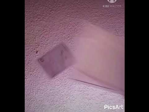 عم شوف الدنيا اكتر