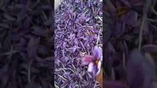 ورد الزعفران،منتج العام.شركة تاج الزعفران للتجارة العامة.#ابوظبي #سعودية #زعفران #طبخ #قطر #saffron