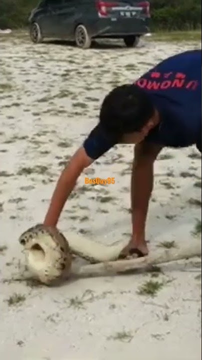 cooking python #shorts #python - YouTube