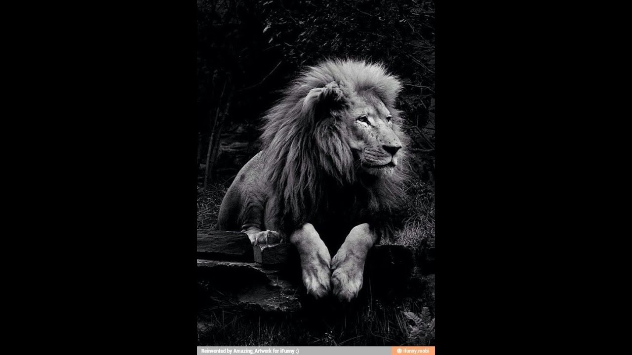 Look in on Scorpio January 5, 2019