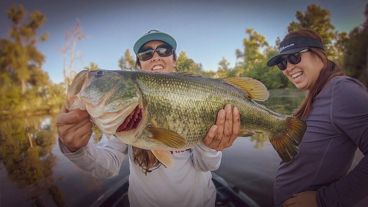 Tactical Bassin' - Bass Fishing Blog