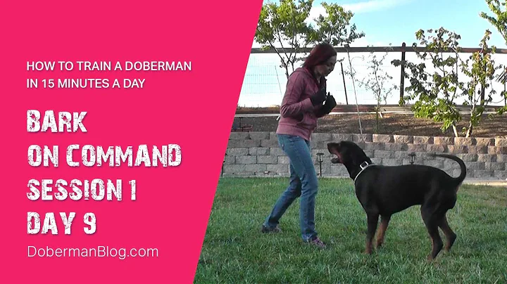 How to train a Doberman in 15 minutes a day: Bark on command. Session 1, Day 9