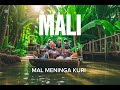 MALI Mal Meninga Kuri 2014 MALI Mal Meninga Kuri 2014