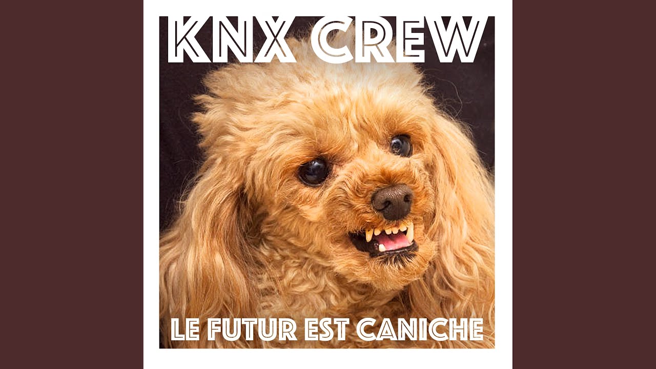 Danse avec les sous.