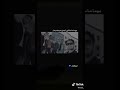 شعر للصيدلانيه 