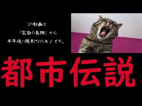 【都市伝説】証拠の為に保管1 奇天烈動画配信団