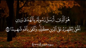 سورة الفتح (27-29)
