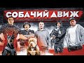 ВИКТОР БЛУД на соревнованиях | собачий движ