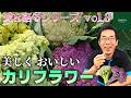 【秋作おすすめ】「カリフローレ」&最速ロマネスコ「ガリレオ」は味が良い!【愛を語る】