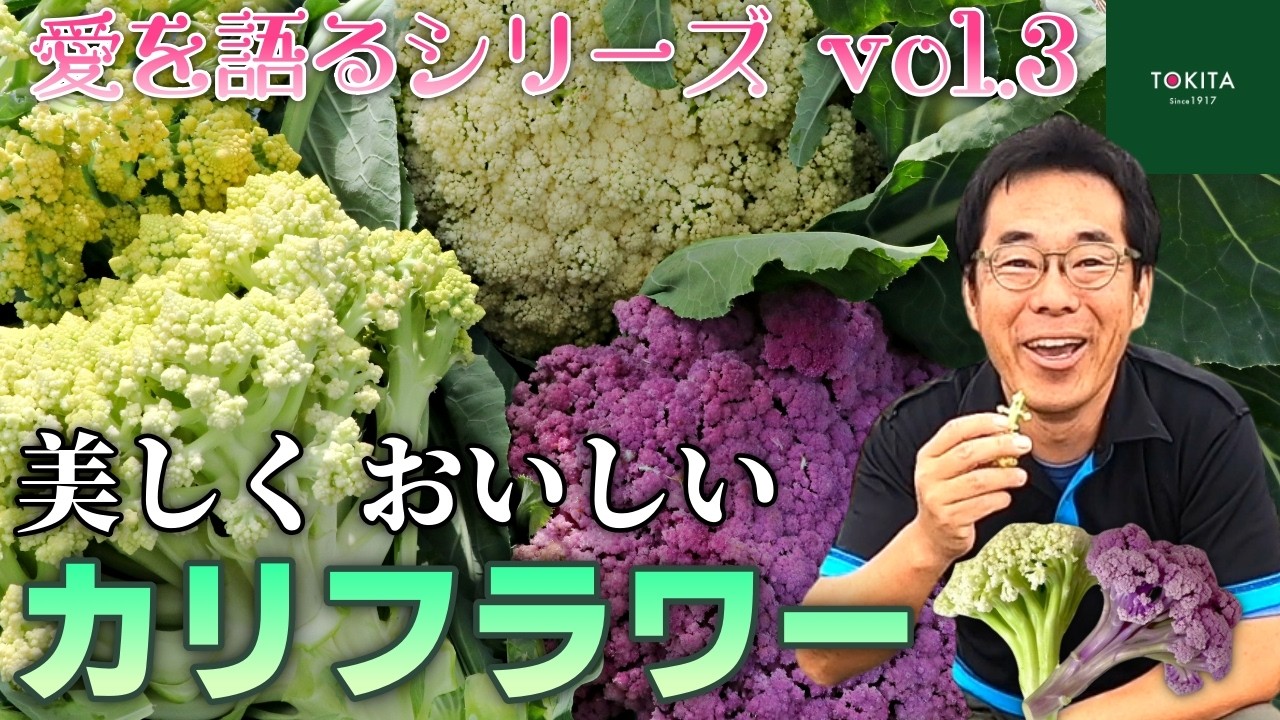 【秋作おすすめ】「カリフローレ」&最速ロマネスコ「ガリレオ」は味が良い!【愛を語る】