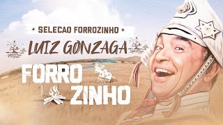 Video thumbnail of "SELEÇÃO FORROZINHO LUIZ GONZAGA PISEIRO PRA PAREDÃO E SUCESSOS - RD7CDs"