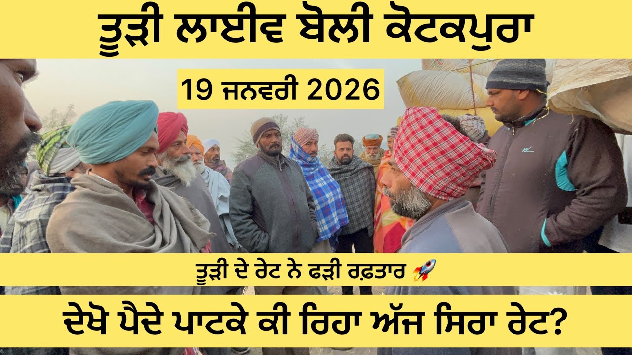 ਤੂੜੀ ਦੀ ਬੋਲੀ 19 ਜਨਵਰੀ 2026 | ਅੱਜ ਦਾ ਤੋੜੀ ਰੇਟ 🤑| kotkpura         